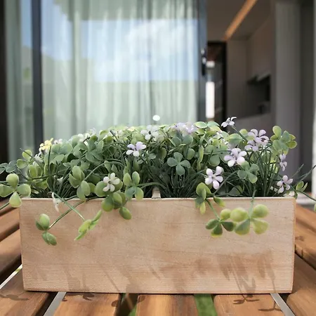 Belem 蓬塔德尔加达